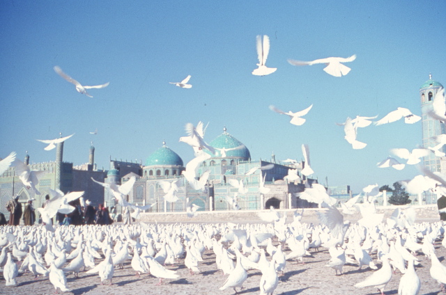 OUT SIDE A MOSQUE